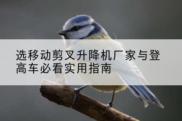 福清电动升降机厂家-选移动剪叉升降机厂家与登高车必看实用指南