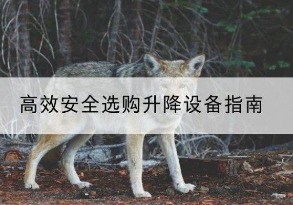 福清升降货梯厂家推荐-*安全选购升降设备指南