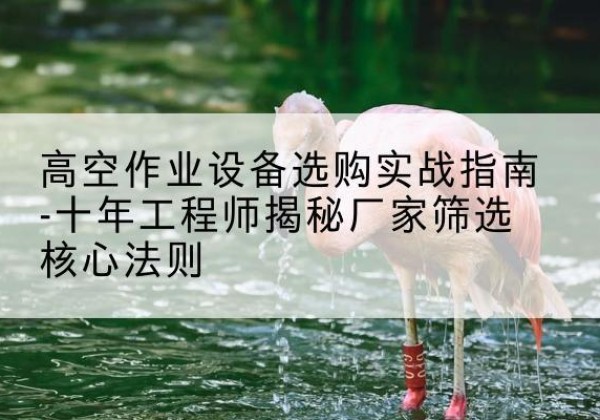 福清剪叉式升降机厂家-高空作业设备选购实战指南-十年工程师揭秘厂家筛选核心法则
